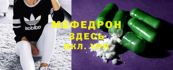 прущие грибы Вязьма