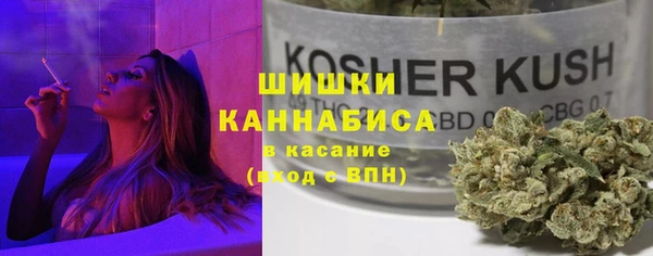 прущие грибы Вязьма