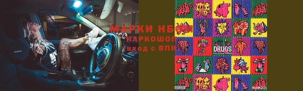 прущие грибы Вязьма