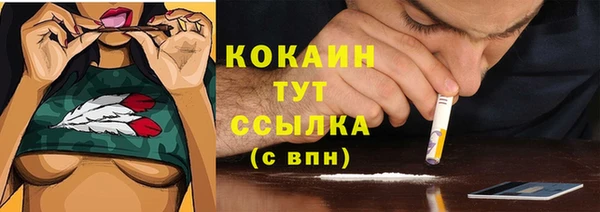 бошки Вяземский