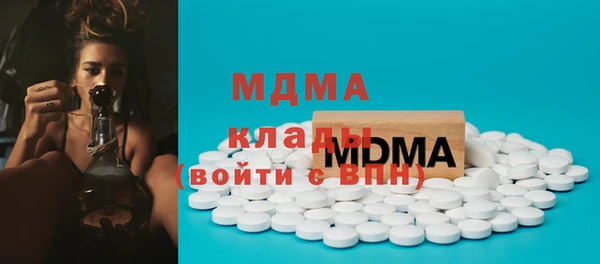 прущие грибы Вязьма