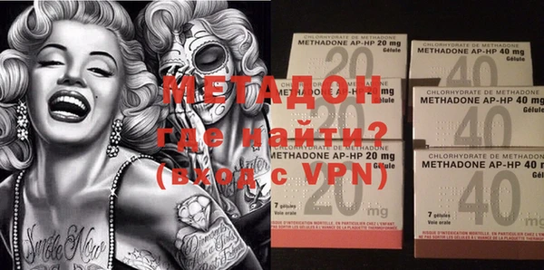 прущие грибы Вязьма