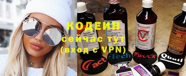 прущие грибы Вязьма