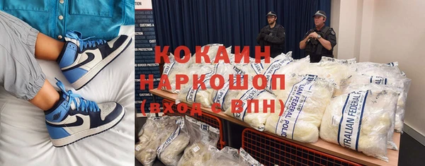 прущие грибы Вязьма