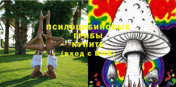 бошки Вяземский